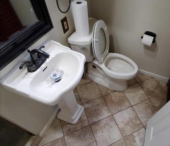 cleaned toilet