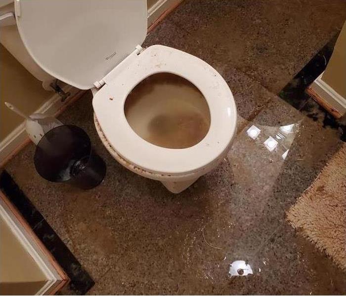 toilet area damaged