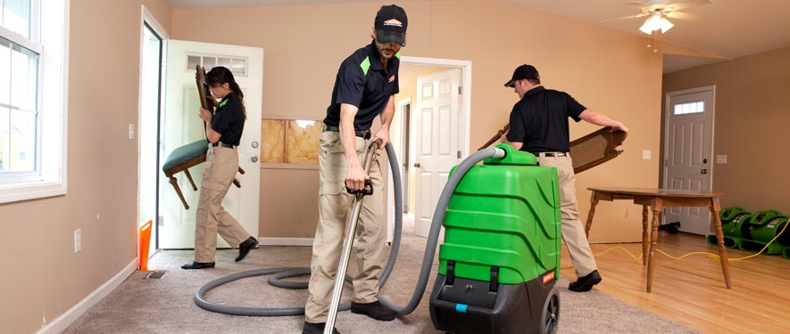Rose Hill, VA cleaning services